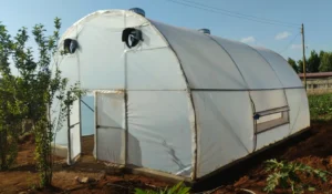 Greenhouse Steel Fabrication and Solar Dryers in Kenya