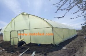 Greeenhouses in Kenya