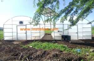 Hybrid solar dryers in Kenya