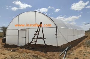 Greenhouses Construction In Kenya