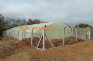 Greenhouses Construction In Kenya