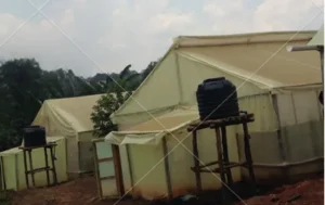 Greenhouses in Kenya