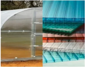 Clear twin-wall polycarbonate sheets used as greenhouse covers for protected farming