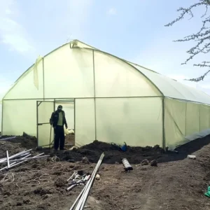 8m ×15m Vented Greenhouse
