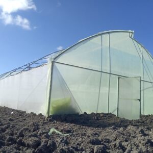 8m × 48m Vented Greenhouse