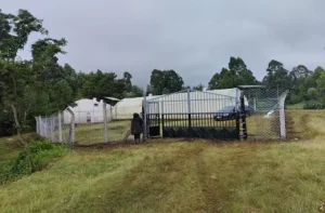 Greenhouses-in-kenya
