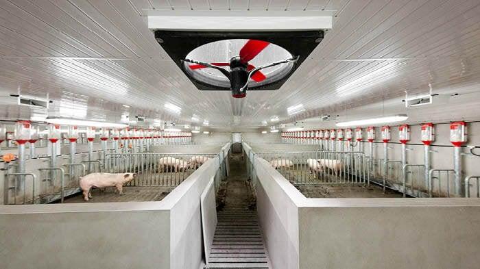 ventilation systems in kenya, pig house ventilation systems in kenya