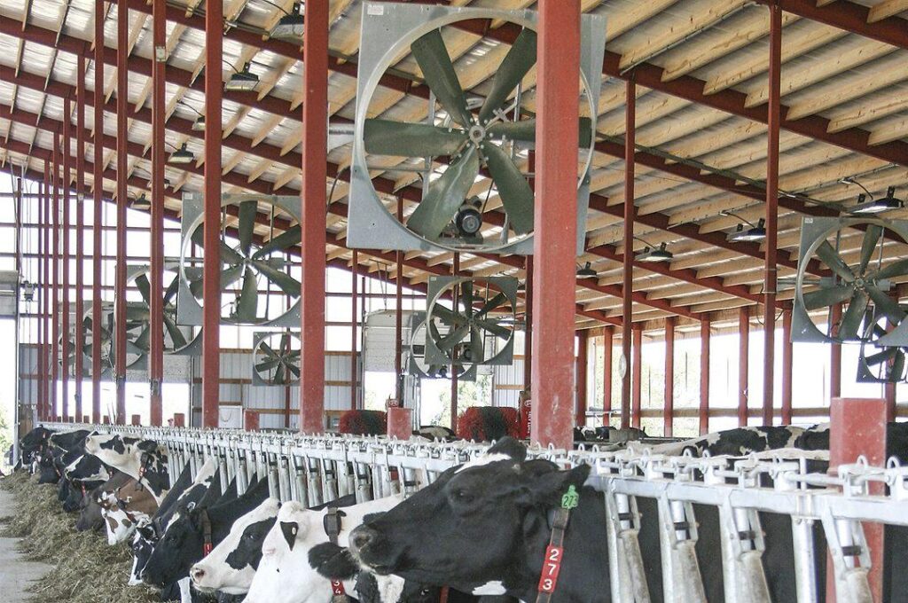 cow shade ventilation systems in kenyaventilation systems in kenya