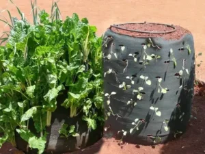 Vertical planting bags for urban farming and balcony gardening HDPE vertical grow bags for vegetables and herbs Space-saving wall garden planting bags with multiple pockets Reusable vertical gardening bags for modern farming systems Vertical grow bags installed on greenhouse and outdoor walls Durable planting bags for strawberries, flowers, and vegetables