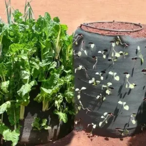 Vertical Planting/Grow bags