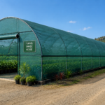 Modern tunnel shade house structure for sustainable agriculture Shade net tunnel greenhouse supporting healthy plant growth Protected farming tunnel with organized rows of crops inside Agricultural tunnel shade house with durable steel frame and shade covering Climate-controlled tunnel shade house for vegetable production Interior farming setup inside a green tunnel shade house Tunnel shade house designed for crop protection and high yields Green shade house structure used in modern commercial farming Exterior view of a tunnel shade house used for protected farming