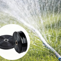 Rain hose irrigation pipe watering vegetable crops in a greenhouse farm