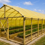 8m x 30m wooden greenhouse with treated timber frame and UV-stabilized greenhouse cover