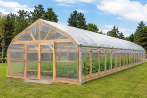Timber framed greenhouse covered with greenhouse polythene in rural Kenya