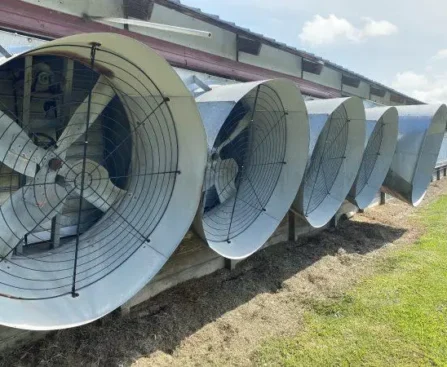 High-capacity poultry house exhaust fans installed in Kenya to improve airflow, reduce heat stress, and maintain healthy poultry housing.