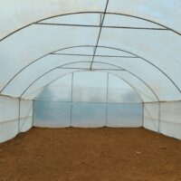 8m x 30m Tunnel Greenhouse (Arch Braced) in Kenya | Galvanized Steel Greenhouse