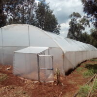Standard 8m by 30m Tunnel Greenhouse in Kenya