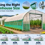 choosing the right greenhouse size in kenya